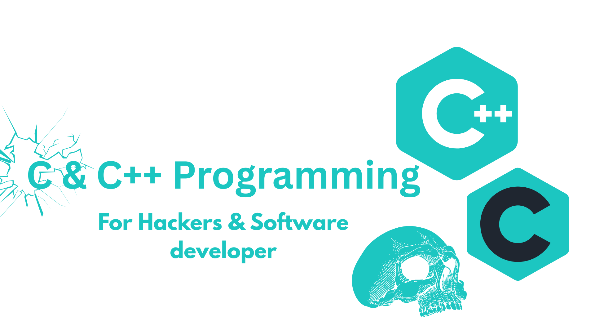 C and C++ Programming